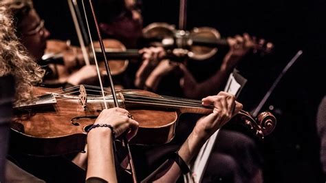 Concert Inoubliable de Calebb : Musique Éthiopienne et Vibrations Energétiques !