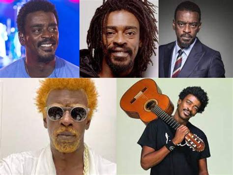 Le Carnaval du Brésil Scintillant: Un Voyage Musical en Compagnie de Seu Jorge!